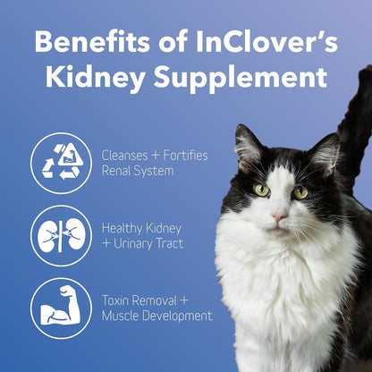 InClover Kidney – Bladder and Urinary Health Supplement for Dogs and Cats