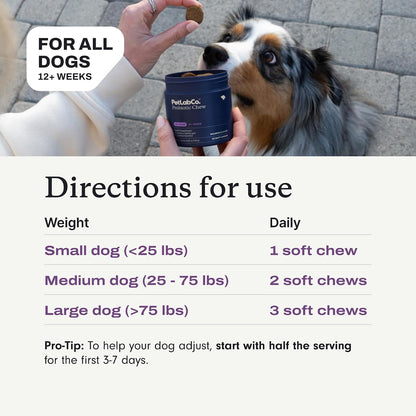 PetLab Co. Probiotics for Dogs - Salmon Flavour Soft Chews (Pack of 3)