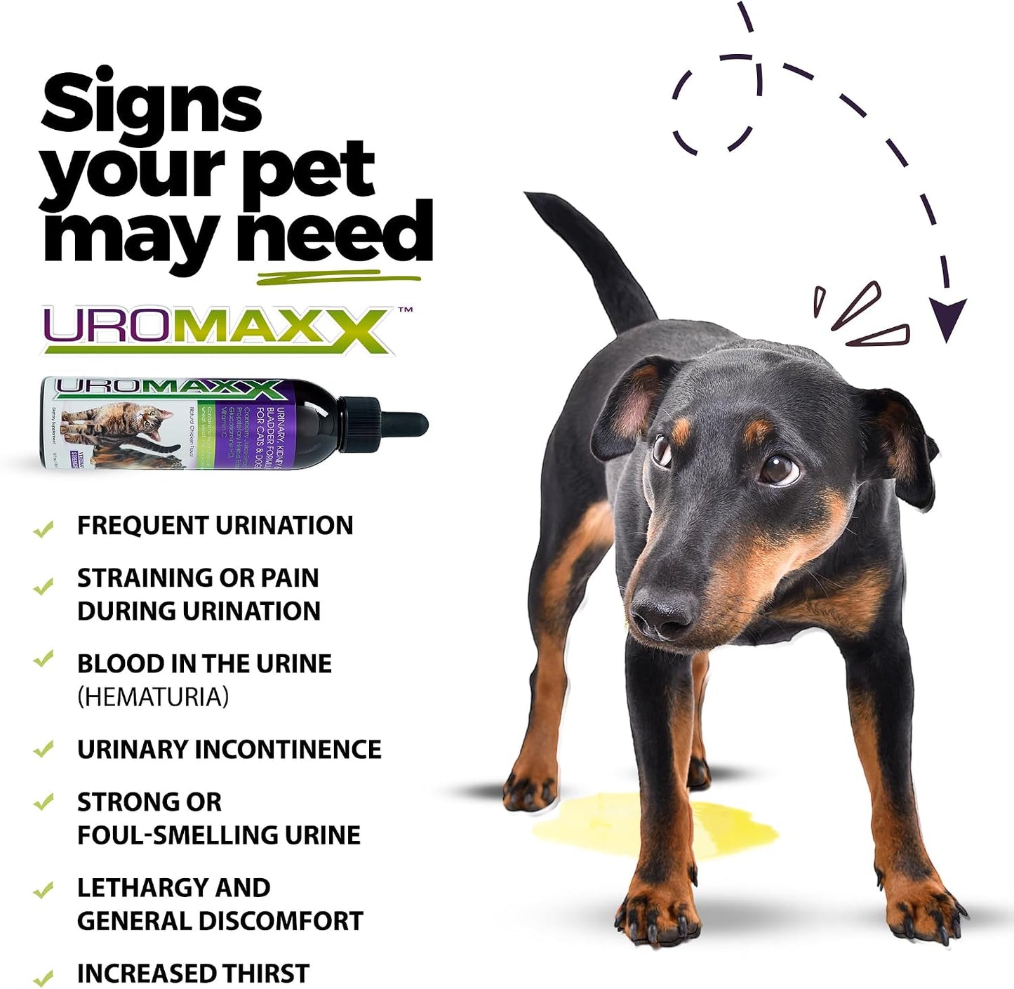 UroMAXX Urinary Tract Formula for Cats and Dogs – 2-Pack of 177 ml Bottles - görsel 2