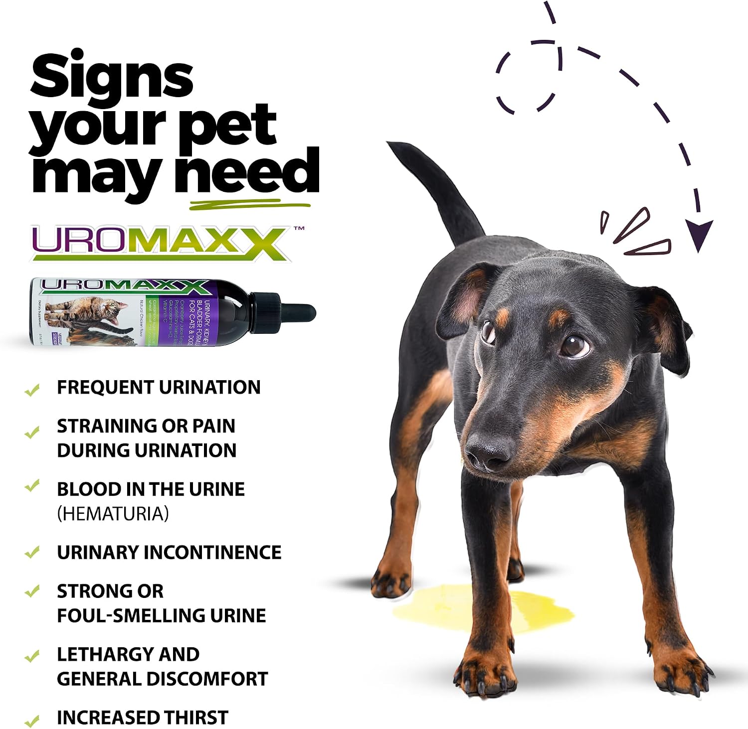 UroMAXX Urinary Tract Formula for Cats and Dogs – 2-Pack of 177 ml Bottles - görsel 2