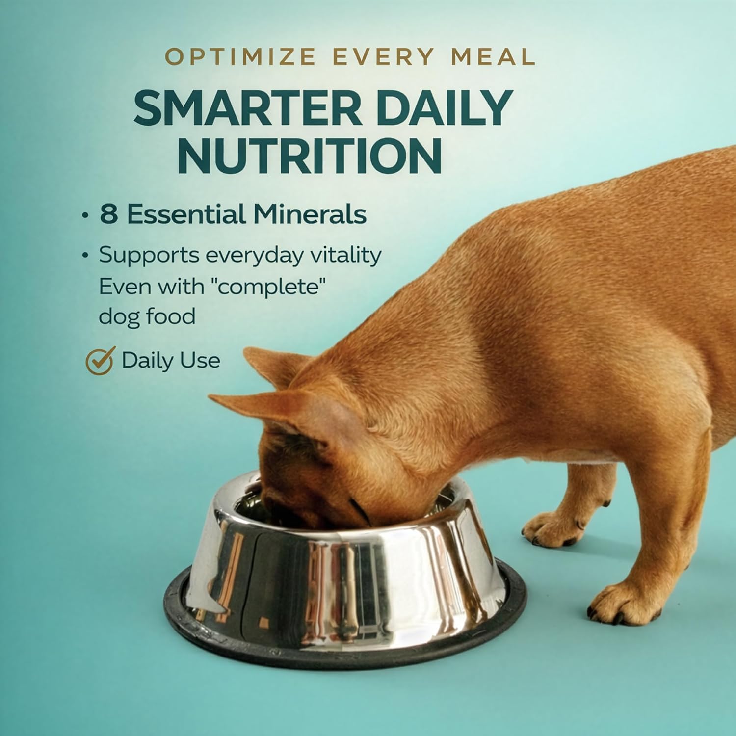 Vita-Tabs for Dogs Multivitamin & Mineral Supplement - 60 Chewable Tablets - görsel 4