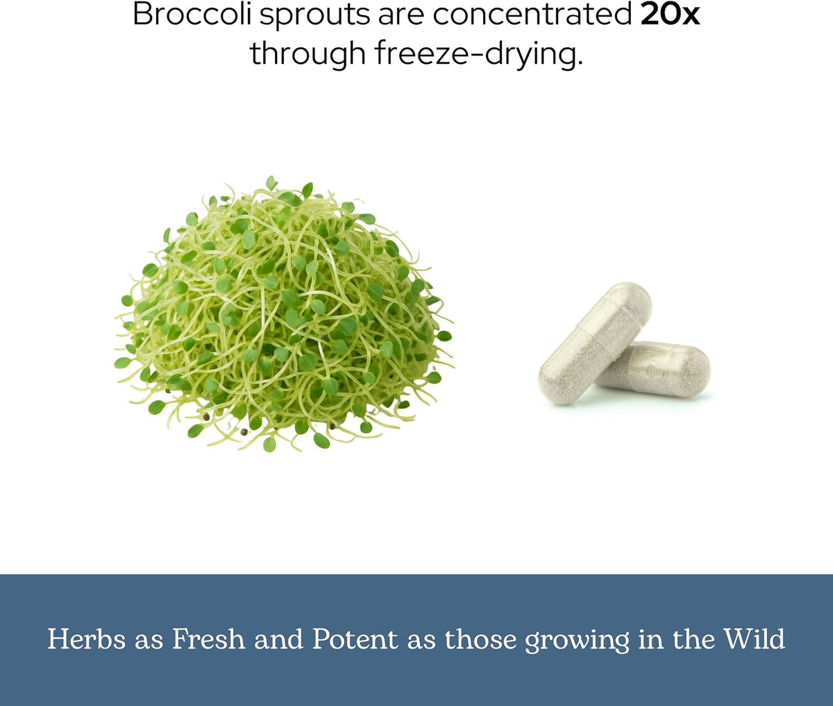Organic Broccoli Sprouts – Freeze-Dried Superfood, 100 Capsules - görsel 6