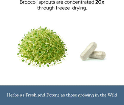 Eclectic Glass Broccoli Sprouts FDV - 50 Capsules