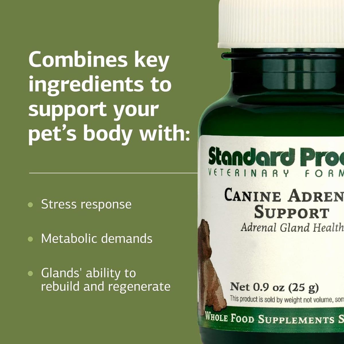 Standard Process Canine Adrenal Support - Nutritional Supplement for Dogs, 25g Powder - görsel 4