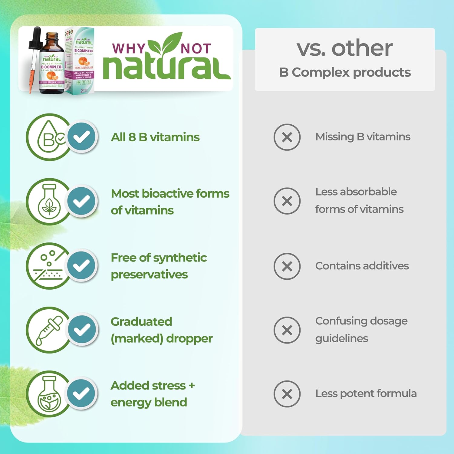 Why Not Natural Vitamin B Complex Liquid Drops – Vegan Sublingual B-Complex with Bio-available B1, B2, B3, B5, B6, Biotin, Folate, B12, Choline and Energy Support Blend - görsel 5