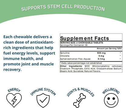 Bioxtron Natural Stem Cell Supplement Chewable Tablets - Spirulina, Chlorella, AFA - Supports Energy, Joint, Muscle, Immune Health - 60 Tablets