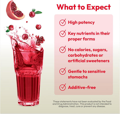 ANDREW LESSMAN Efficient C + Cranberry Benefits 90 Packets - Immune, Energy, Stress and Urinary Tract Support