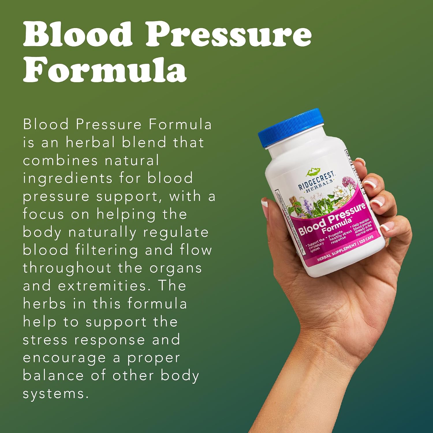 RidgeCrest Herbals Blood Pressure Herbal Formula - görsel 5