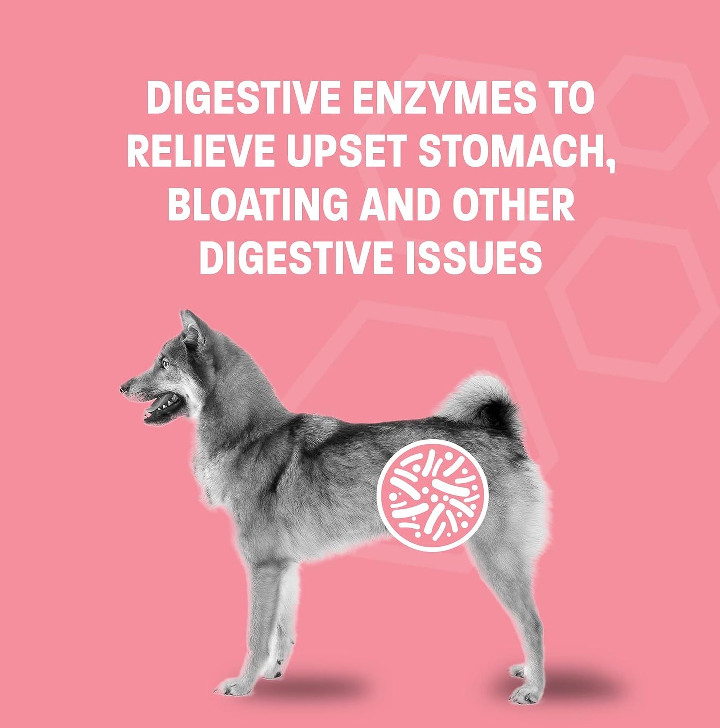 Pet Health Pros Probiotic Oral Paste for Dogs & Cats (30 cc) - görsel 3