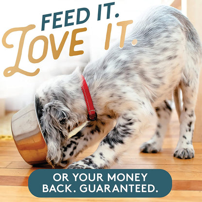 The Missing Link Pet Kelp Canine Skin & Coat 8oz Superfood Powdered Supplement, Organic & Limited Ingredient Formula for Dogs