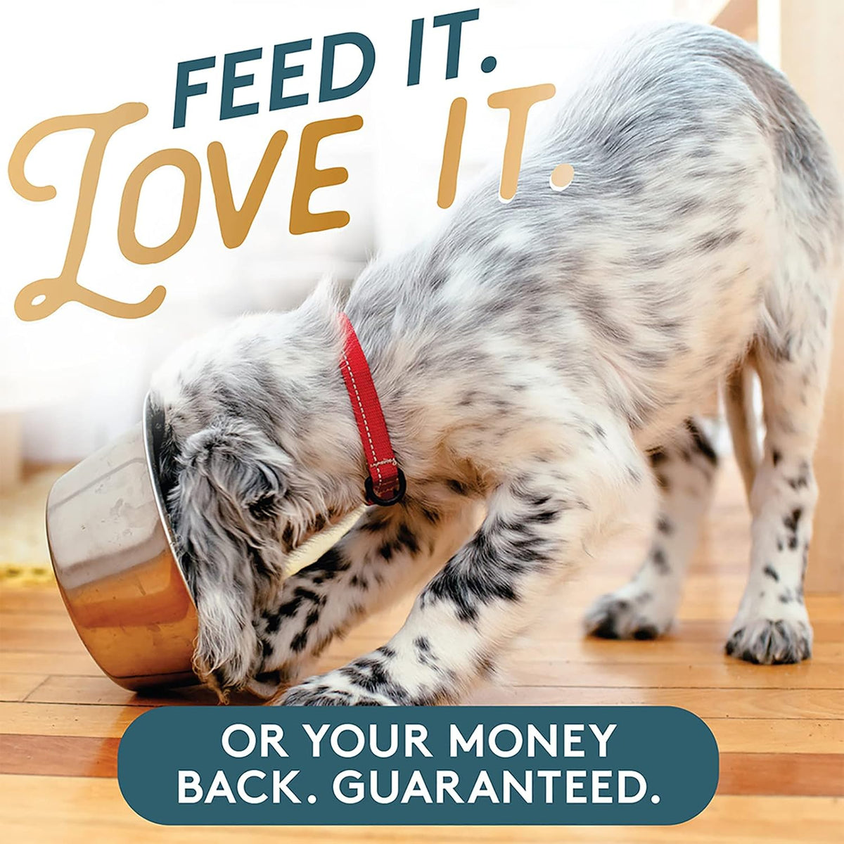 The Missing Link Pet Kelp Canine Probiotic - Organic & Limited Ingredient Formula for Digestive Health (227 g) - görsel 6