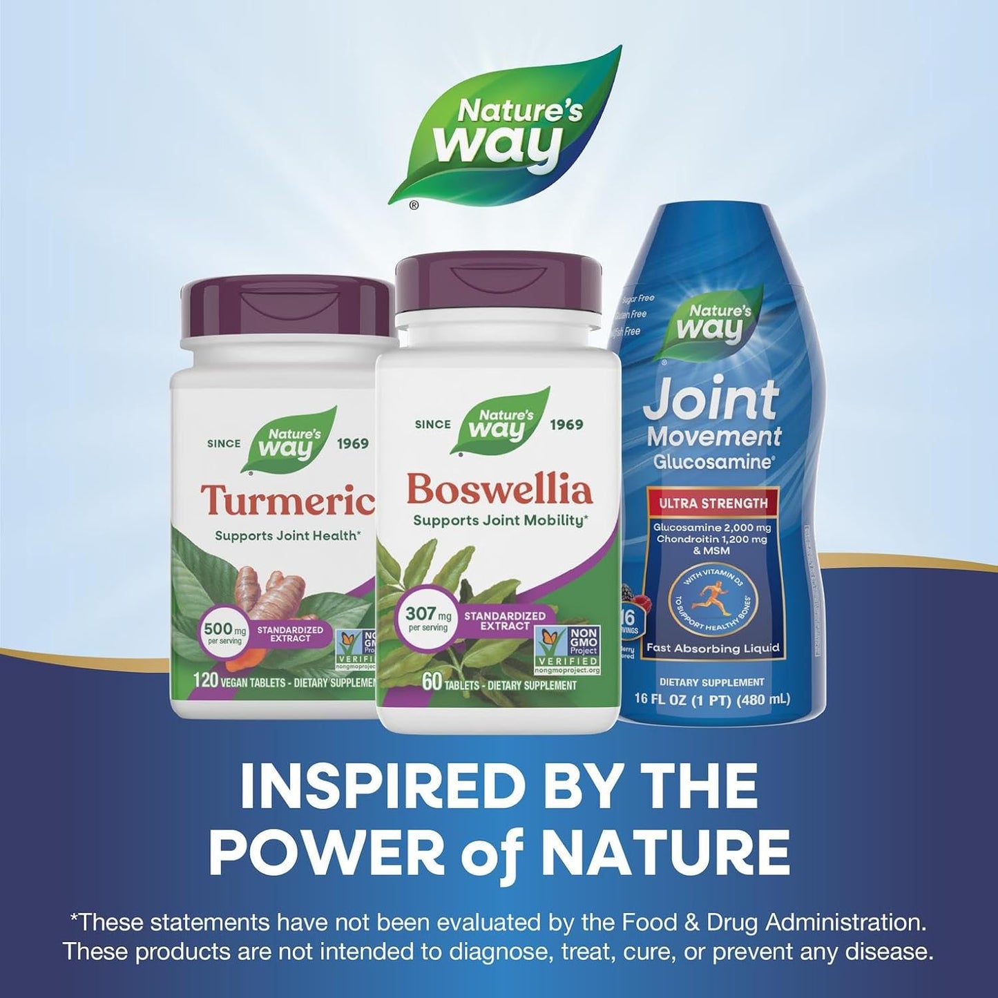 Nature's Way Boswellia Standardised Extract, 307 mg, 60 Tablets - görsel 7