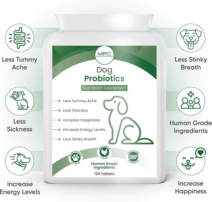 Probiotics for Dogs – 5-Strain 2 Billion CFU + Digestive Enzymes & Prebiotics, Chicken Flavour, 120 Tablets