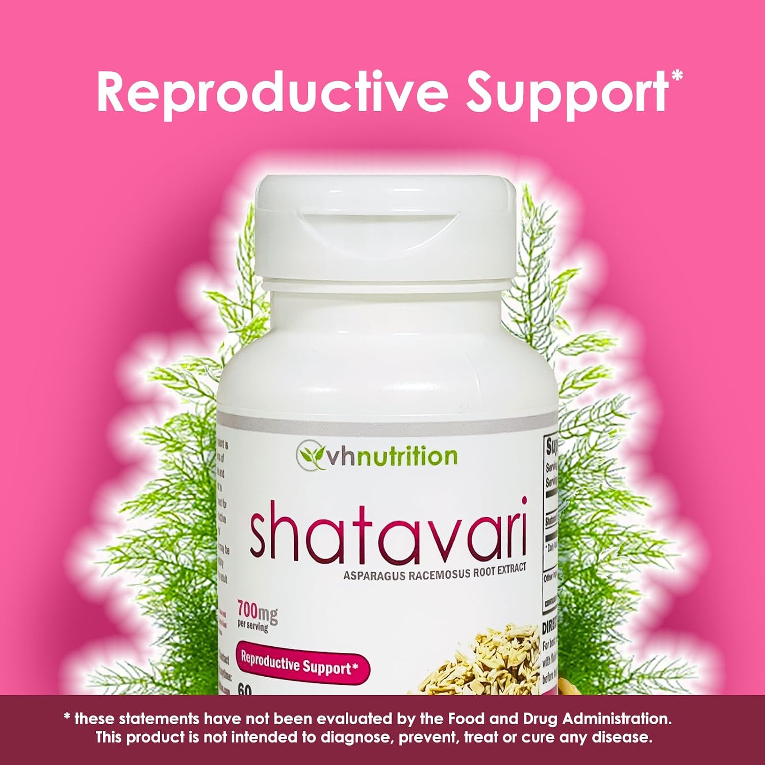 VH Nutrition Shatavari — 700mg Asparagus Racemosus Extract — Women's Wellness Support — 60 Capsules - görsel 4