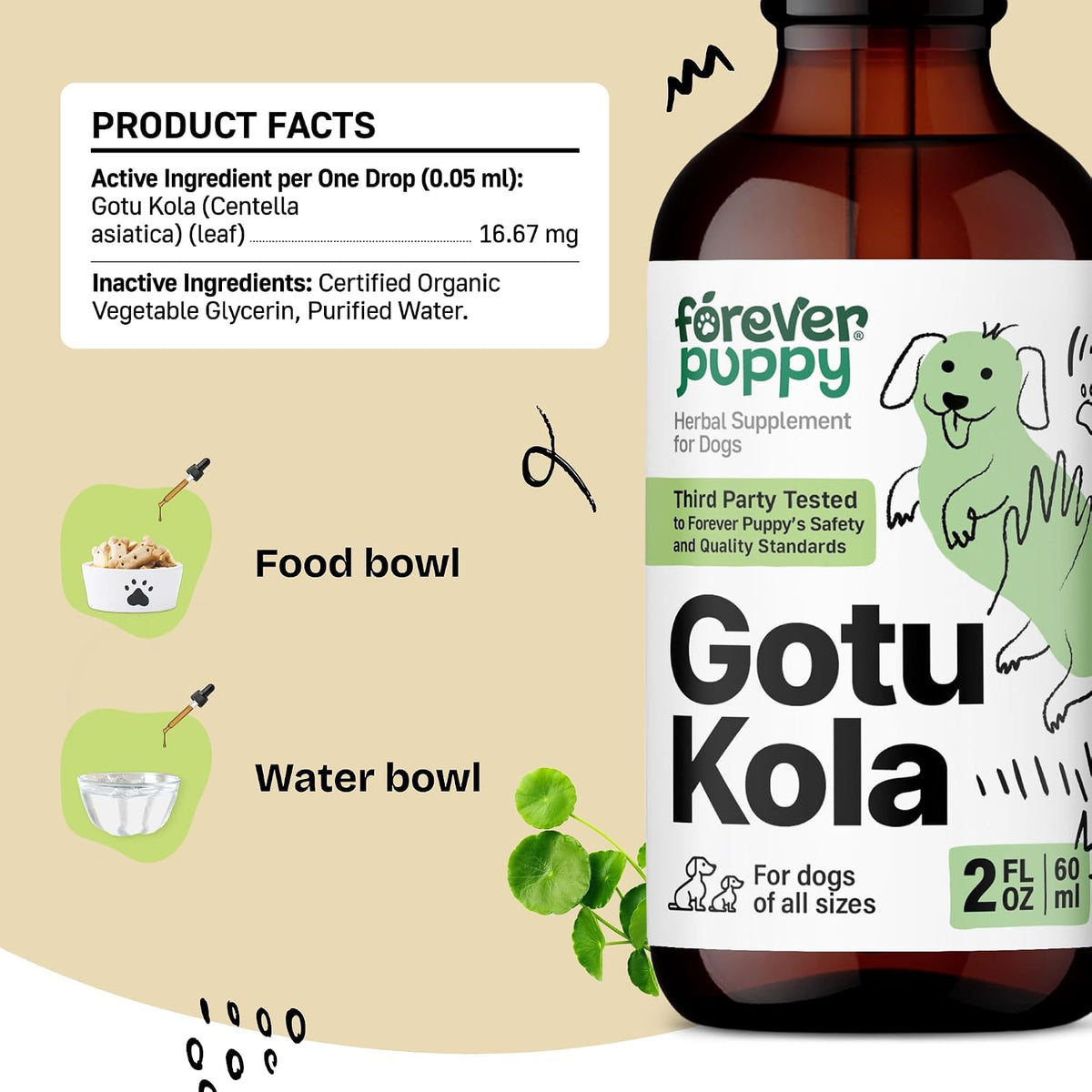 Gotu Kola Drops for Dogs – Centella Asiatica & Gotu Kola Extract for Brain Health Support – Liquid Brain Supplement for Dogs of All Breeds & Sizes – 60 ml - görsel 3