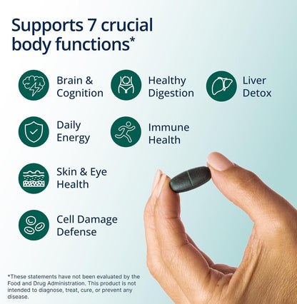 Metagenics PhytoMulti Multivitamin - 20+ Essential Vitamins & Minerals with Phytonutrients - Non-GM & Gluten-Free - 60 Capsules