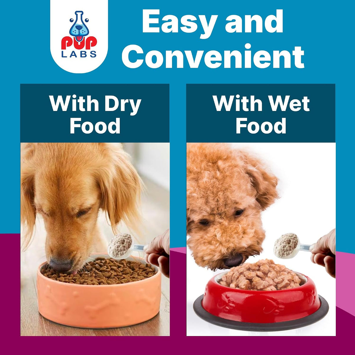 K9 Belly Bliss, All-Natural Gut Health Prebiotic for Dogs, Vet-Approved Daily Digestive Support, 30 Scoops - görsel 6