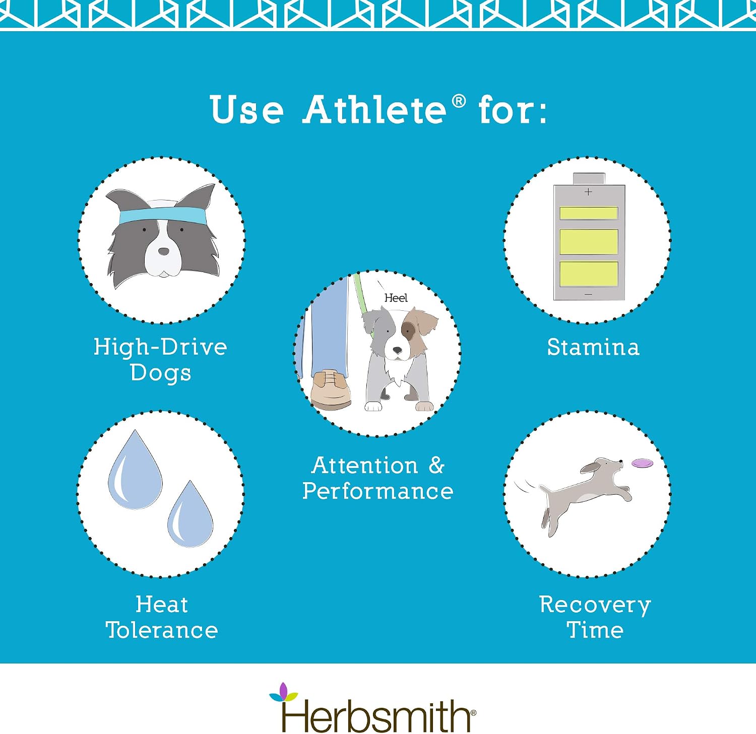 Herbsmith Athlete – Canine Endurance Supplement for Working and Agility Dogs (75g Powder) - görsel 4