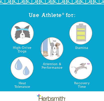 Herbsmith Athlete – Canine Endurance Supplement for Working and Agility Dogs (75g Powder)