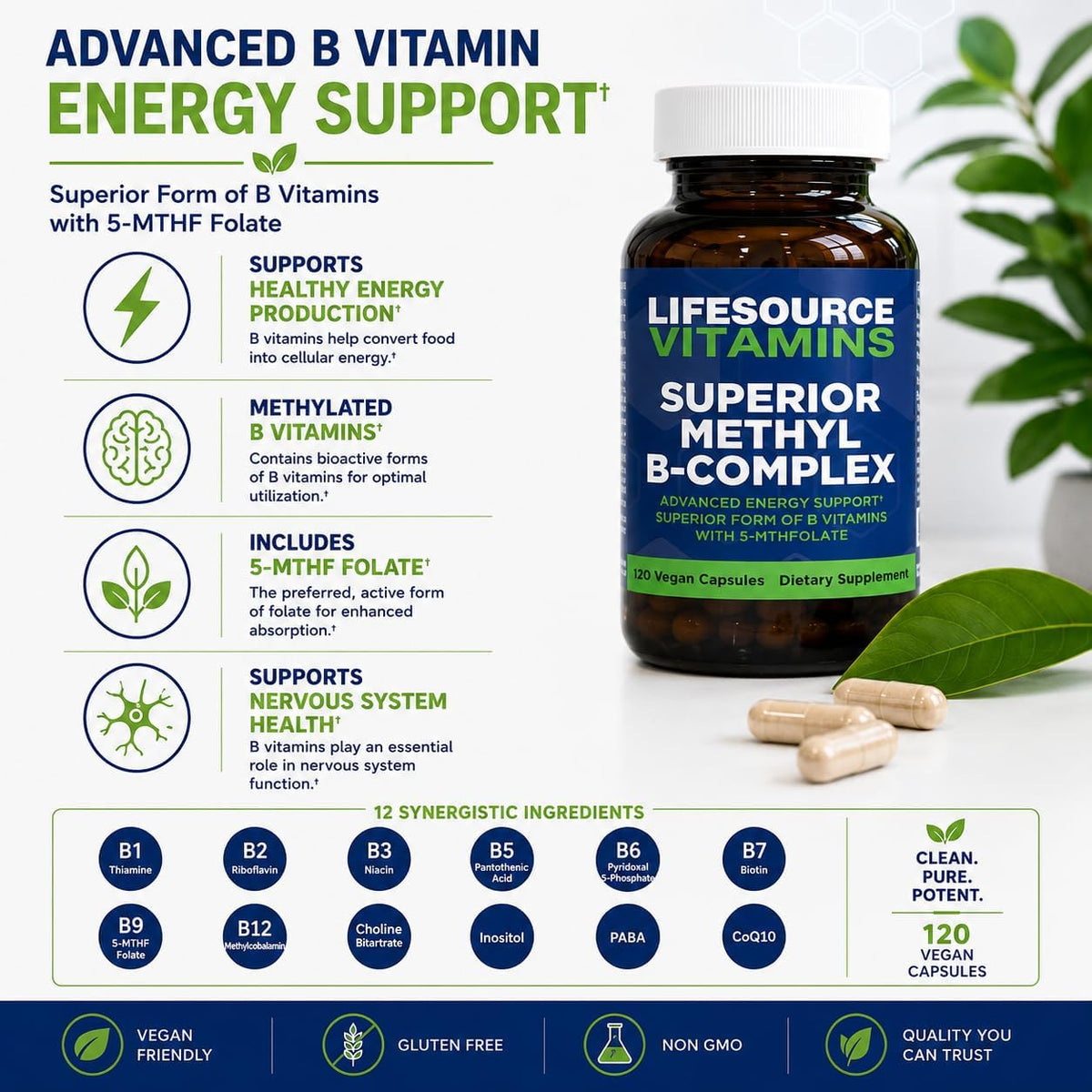 LifeSource Vitamins Superior Methyl-B Complex, 120 Capsules - görsel 2