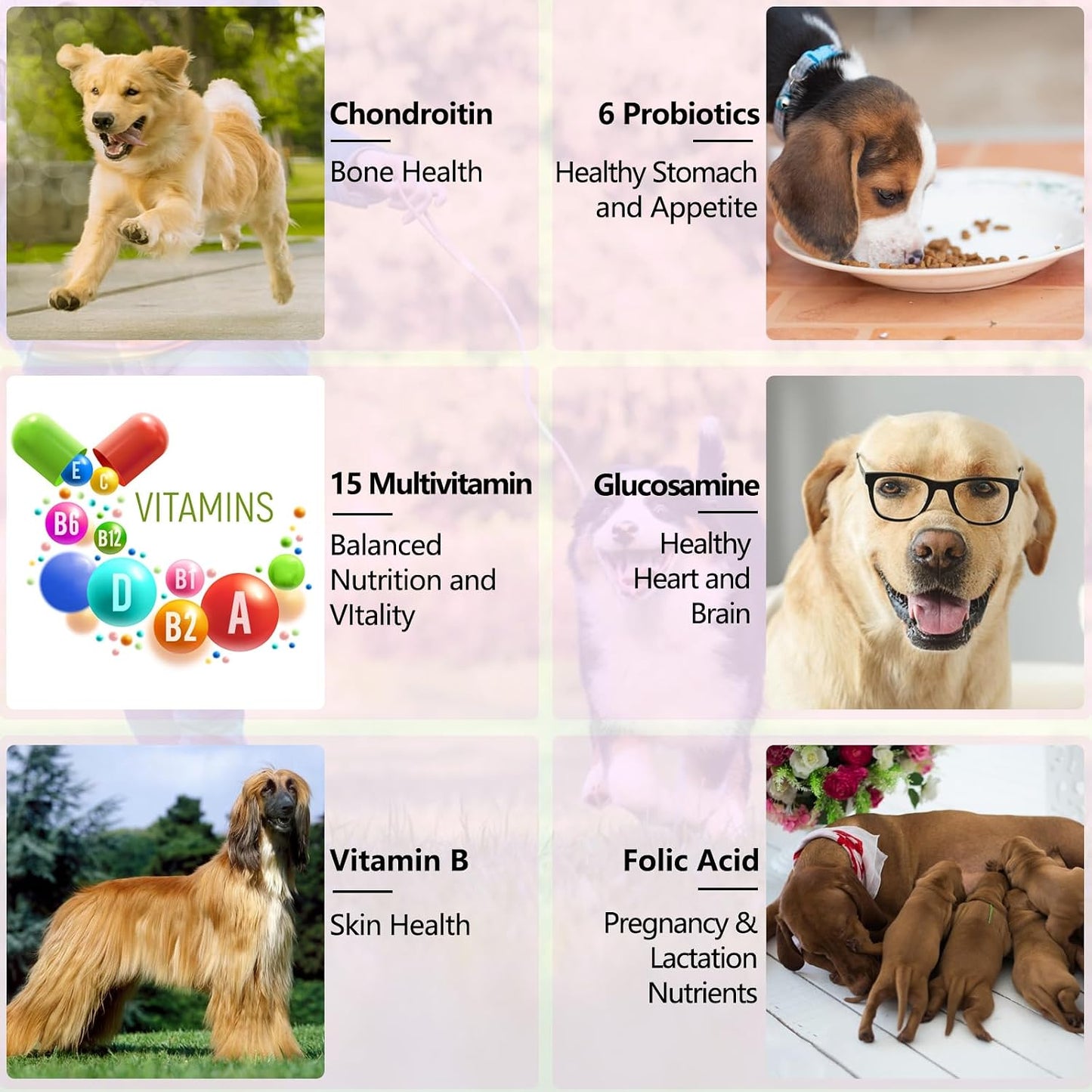 15 in 1 Dog Multivitamin Liquid Drops - Vitamins for Heart, Joints, Skin & Coat, Urinary Tract, Immune Support (60 ml) - görsel 8