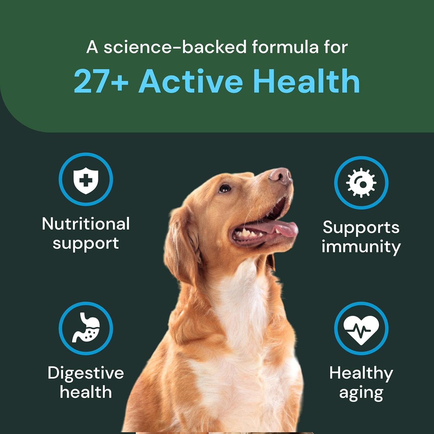 VetriScience Veterinary Strength 27+ Active Health Chews - Dog Multivitamin, Duck Flavour, 60 Chews - görsel 4