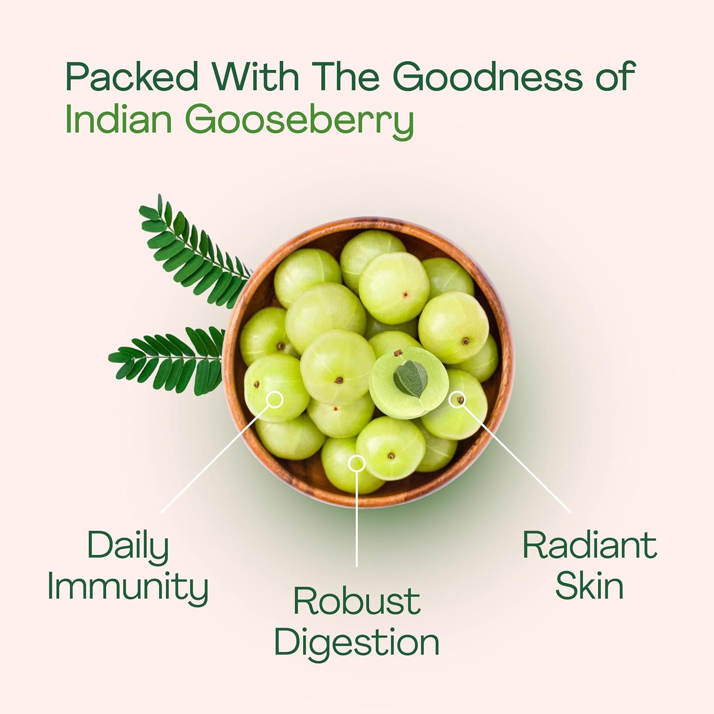 Just Jaivik Organic Amla Tablets - 750 mg - 90 Tablets - görsel 4