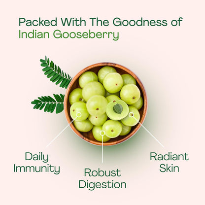 Just Jaivik Organic Amla Tablets - 750 mg - 90 Tablets