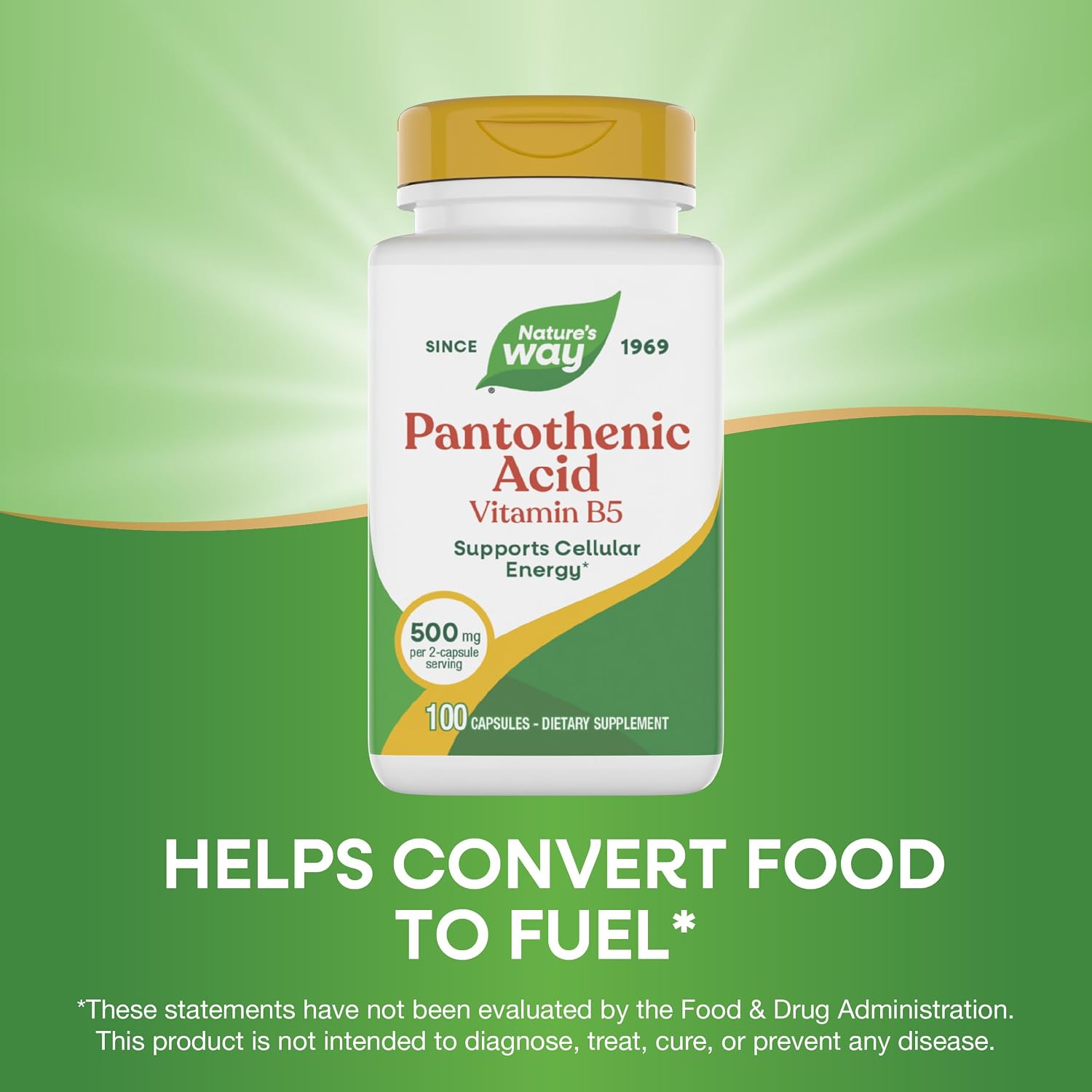 Nature's Way Pantothenic Acid 500mg - Supports Energy Metabolism, 100 Capsules - görsel 4