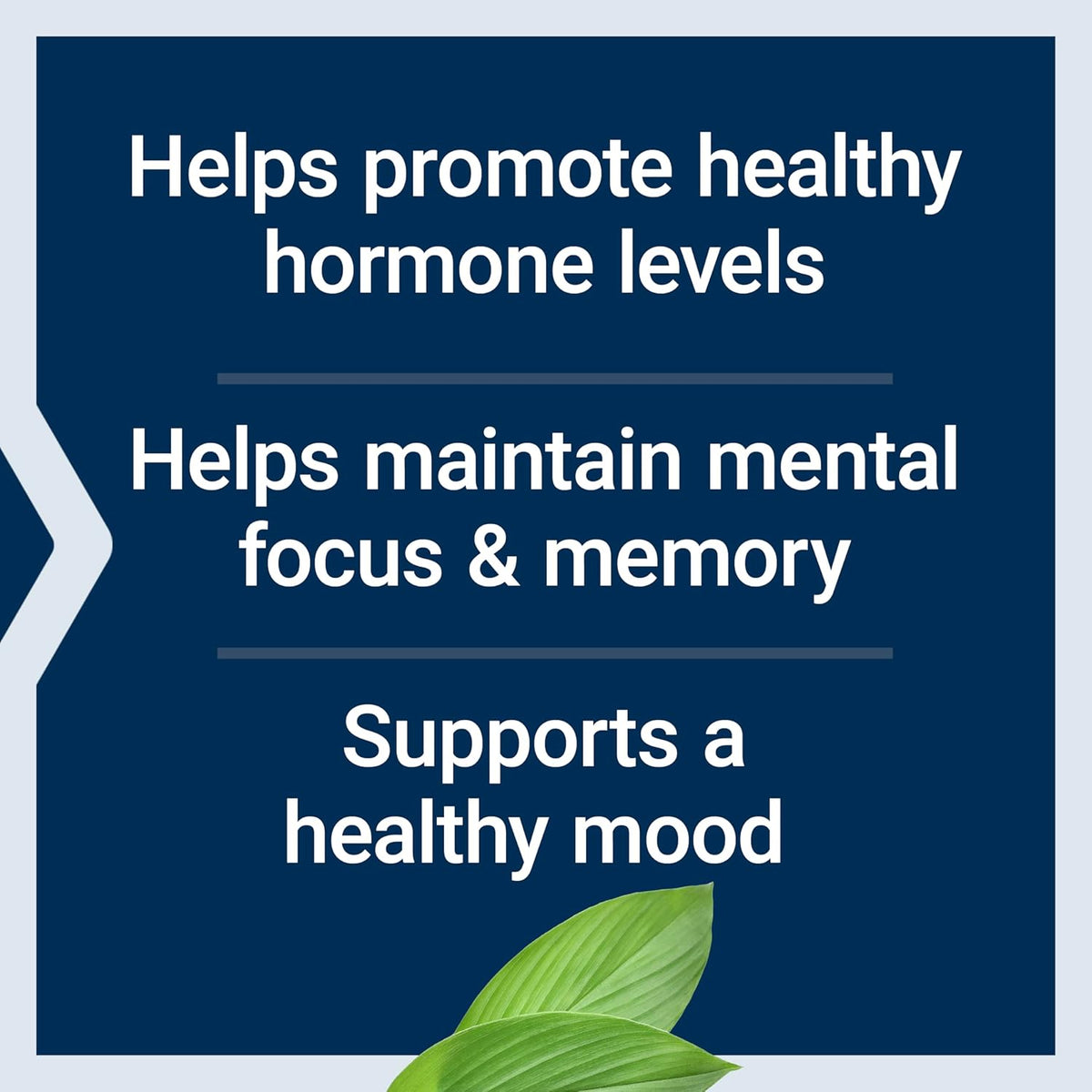 Life Extension Pregnenolone - Neurohormone for Memory and Brain Health - 100 Capsules - görsel 4