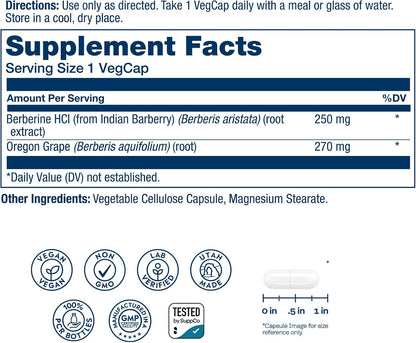SOLARAY Berberine 250mg – Berberine HCl Supplement with Oregon Grape, Vegan, Non-GMO, 60 VegCaps