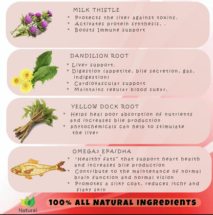 Milk Thistle for Dogs - 180 Chewable Tablets - Liver and Kidney Support