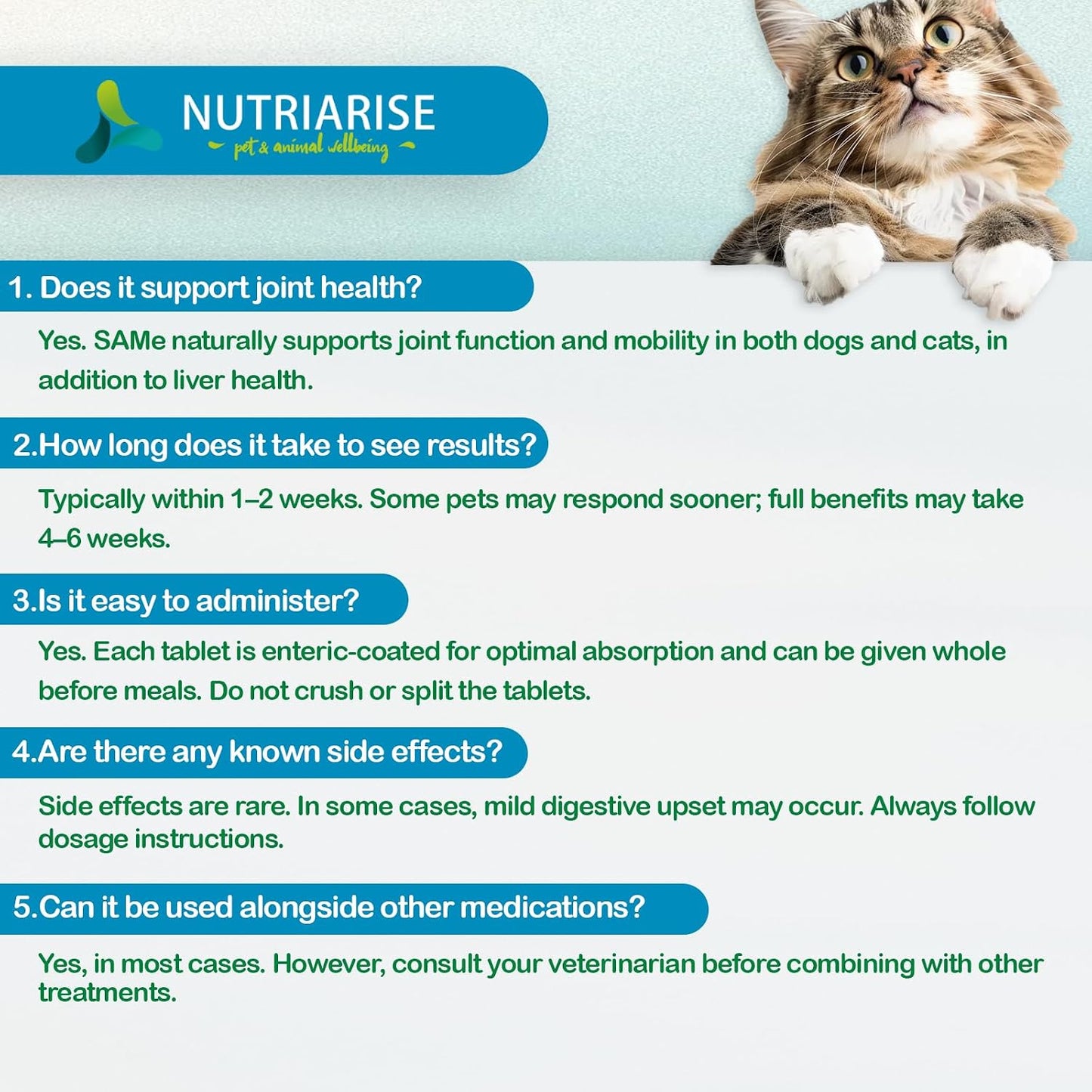 NUTRIARISE Same 90 for Dogs & Cats – Liver Support Supplement with Milk Thistle - görsel 6
