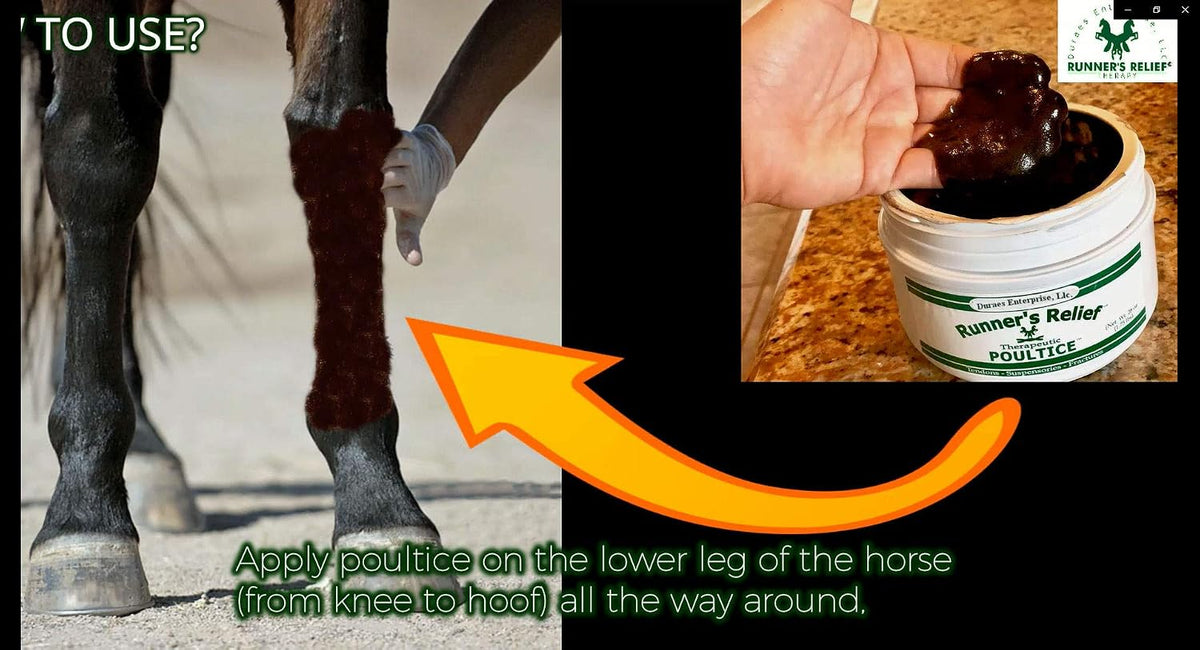 Runner's Relief Therapeutic Poultice Tightener for Horses - Natural Soothing Clay - 50g - görsel 3