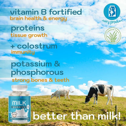Holistic MD Colostrum Gummies - Grass-Fed Colostrum Milk Protein Gummies with Vitamin B Complex, Sugar-Free, 60 Count