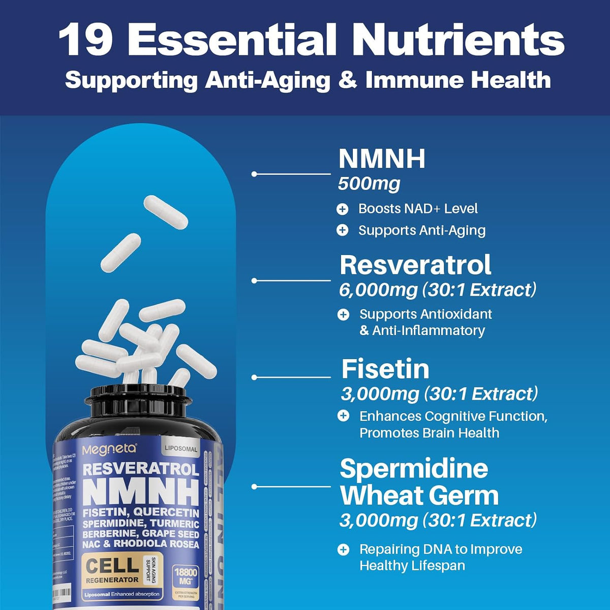 MEGNETA All in One NMNH Supplements - görsel 4