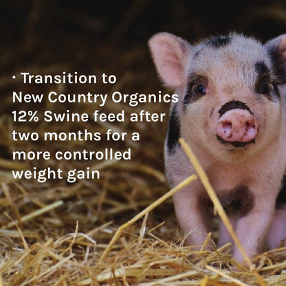 New Country Organics | Pig 16% Protein Feed for Growing Hogs and Pigs | Soya-Free | Certified Organic and Non-GMO | 18 kg