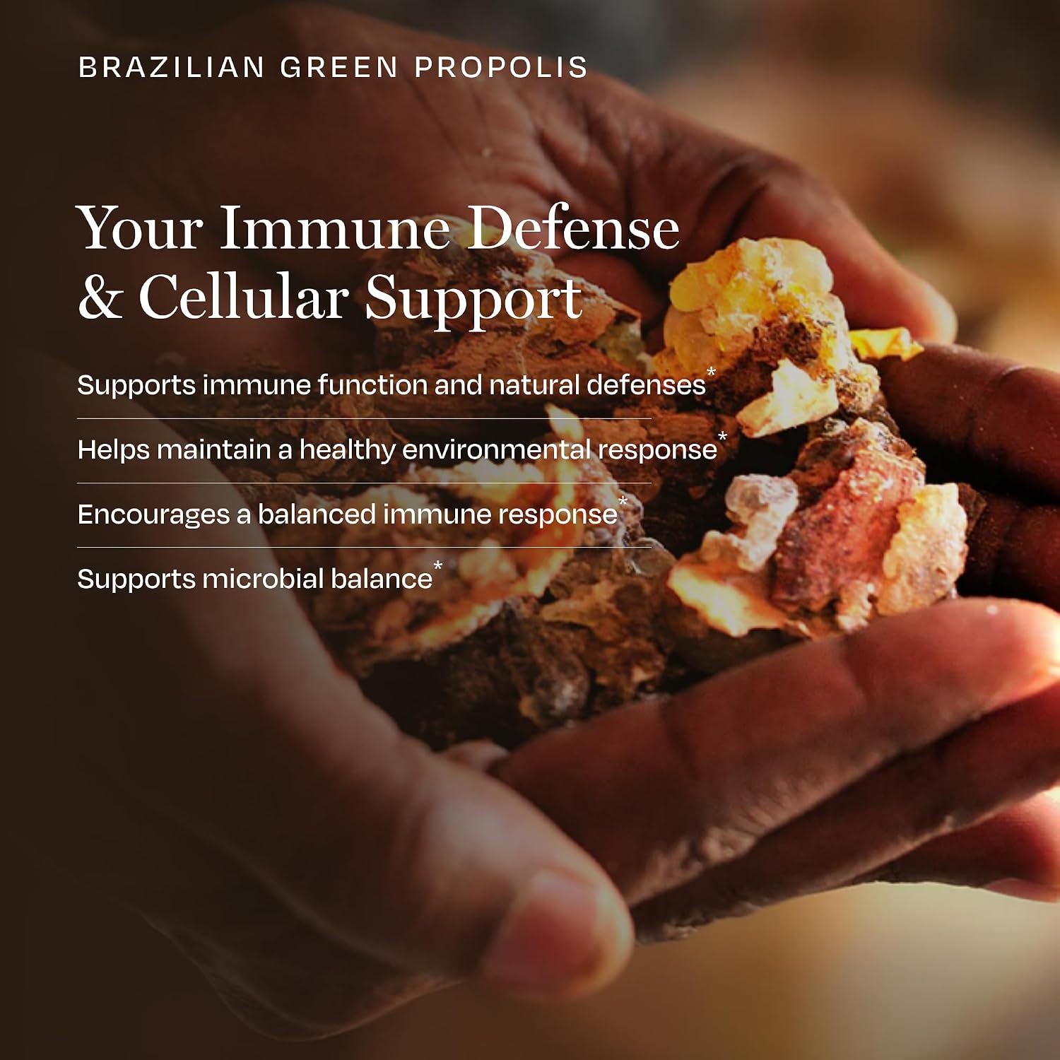BioPure Brazilian Green Propolis Extract – Natural Freeze-Dried Extract with Artepillin-C and Phenols – 60 Capsules - görsel 5