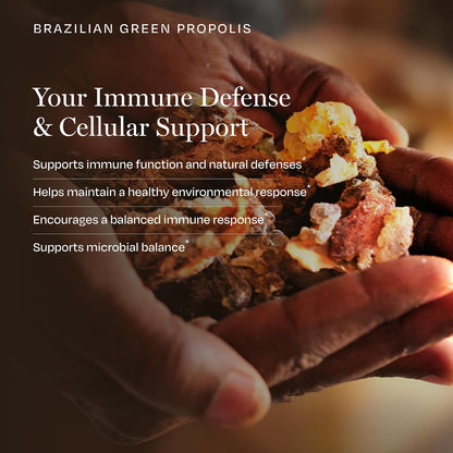 BioPure Brazilian Green Propolis Extract – Natural Freeze-Dried Extract with Artepillin-C and Phenols – 60 Capsules