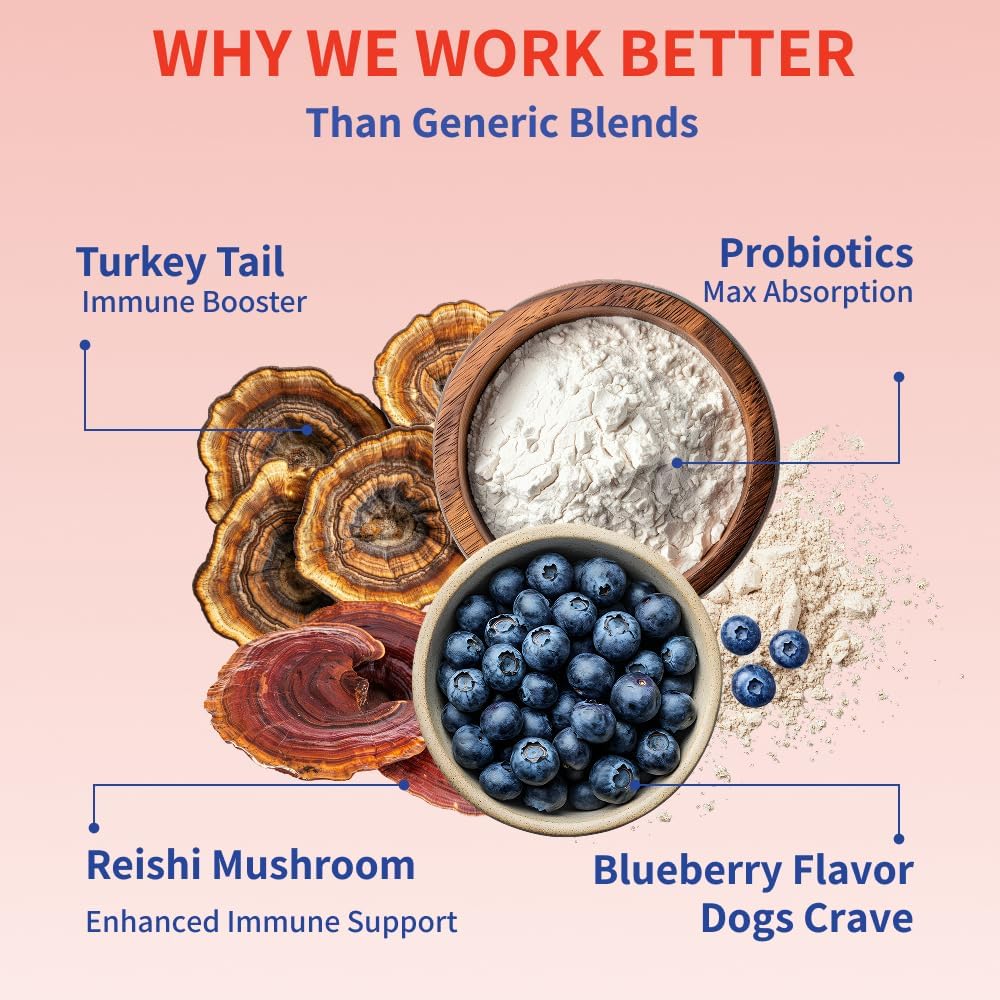 Fifth & Fido Turkey Tail Mushroom for Dogs – Immune Support & Lump Support with Probiotics – Dog Food Topper, 30 Servings - görsel 4