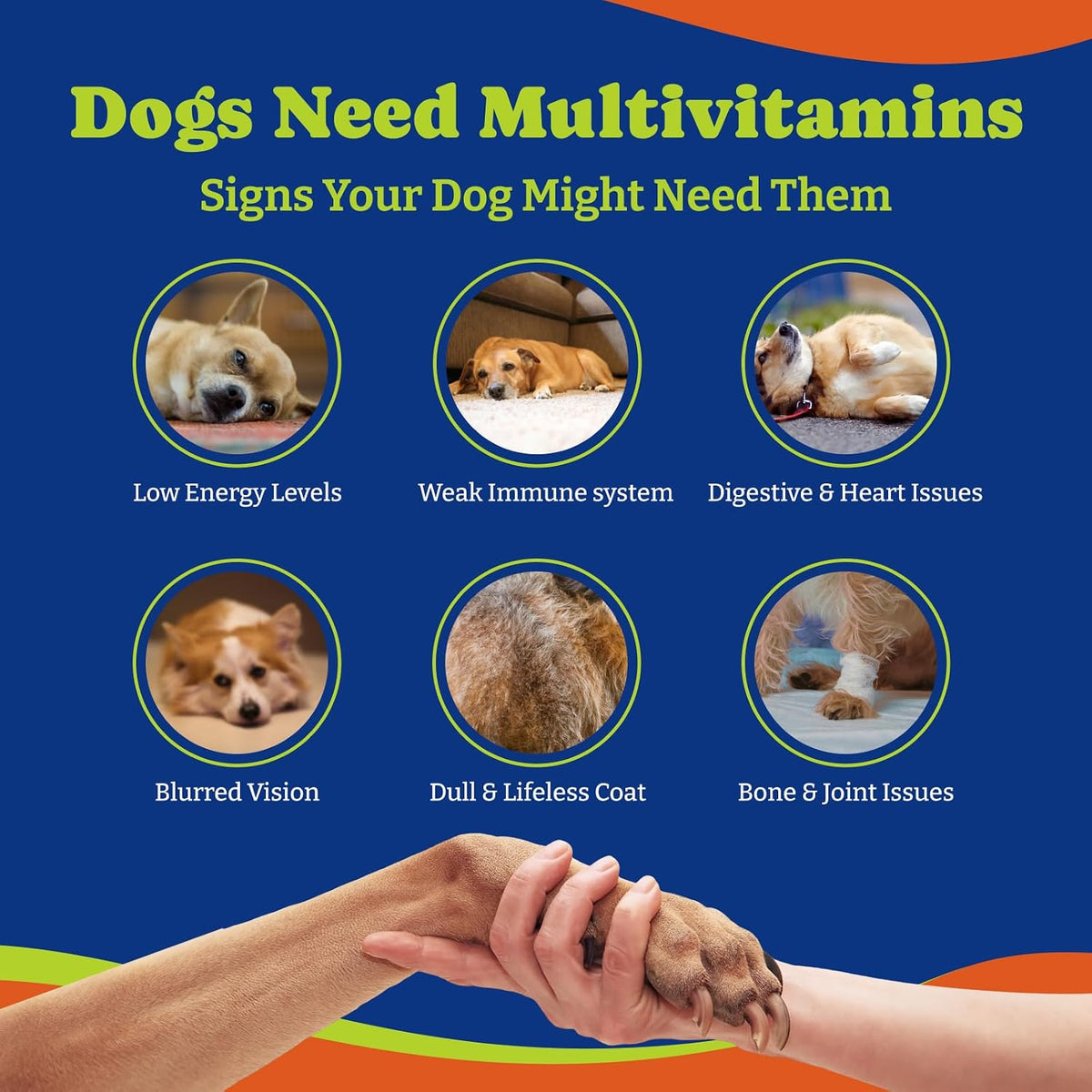 YoYoBay Dog Multivitamin Chewable Supplement - 180 Soft Chews, Duck & Pear Flavour - görsel 5