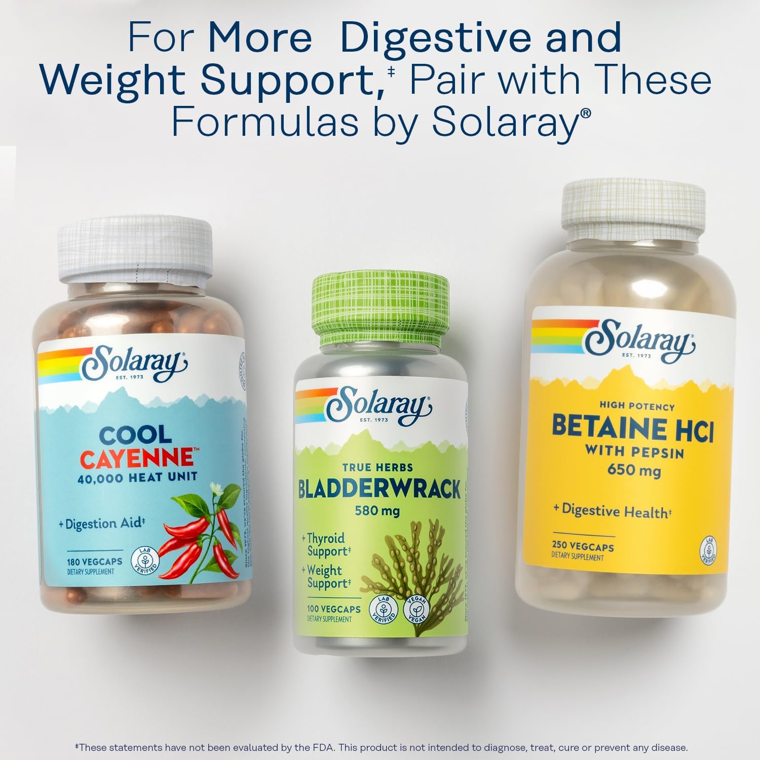 SOLARAY Lipotropic 1000 Plus – Digestive, Energy & Fat Metabolism Support with Betaine HCl and Vitamin B-6 (180 Capsules) - görsel 6