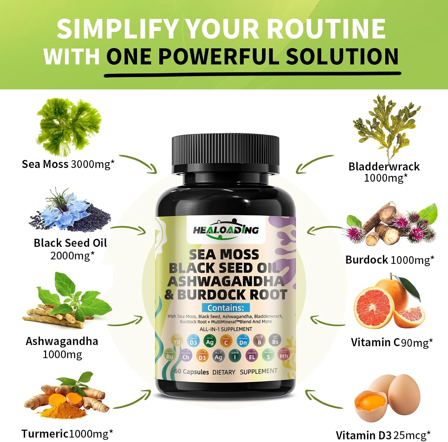 HEALOADING Sea Moss Capsules: Wildcrafted Organic Irish Sea Moss & Bladderwrack - görsel 4
