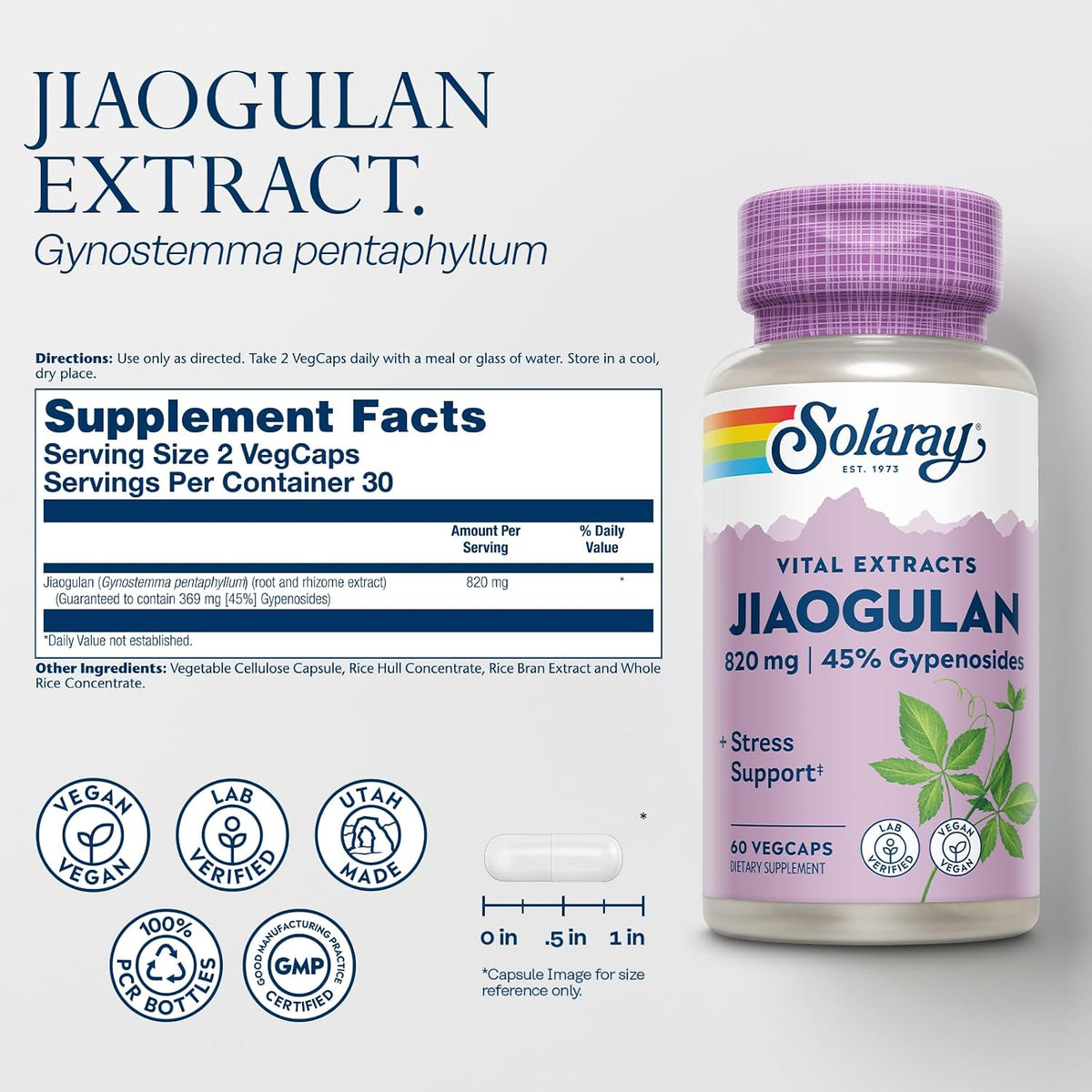 SOLARAY Jiaogulan Root and Rhizome Extract – Gynostemma Pentaphyllum Supplement, 60 VegCaps - görsel 2