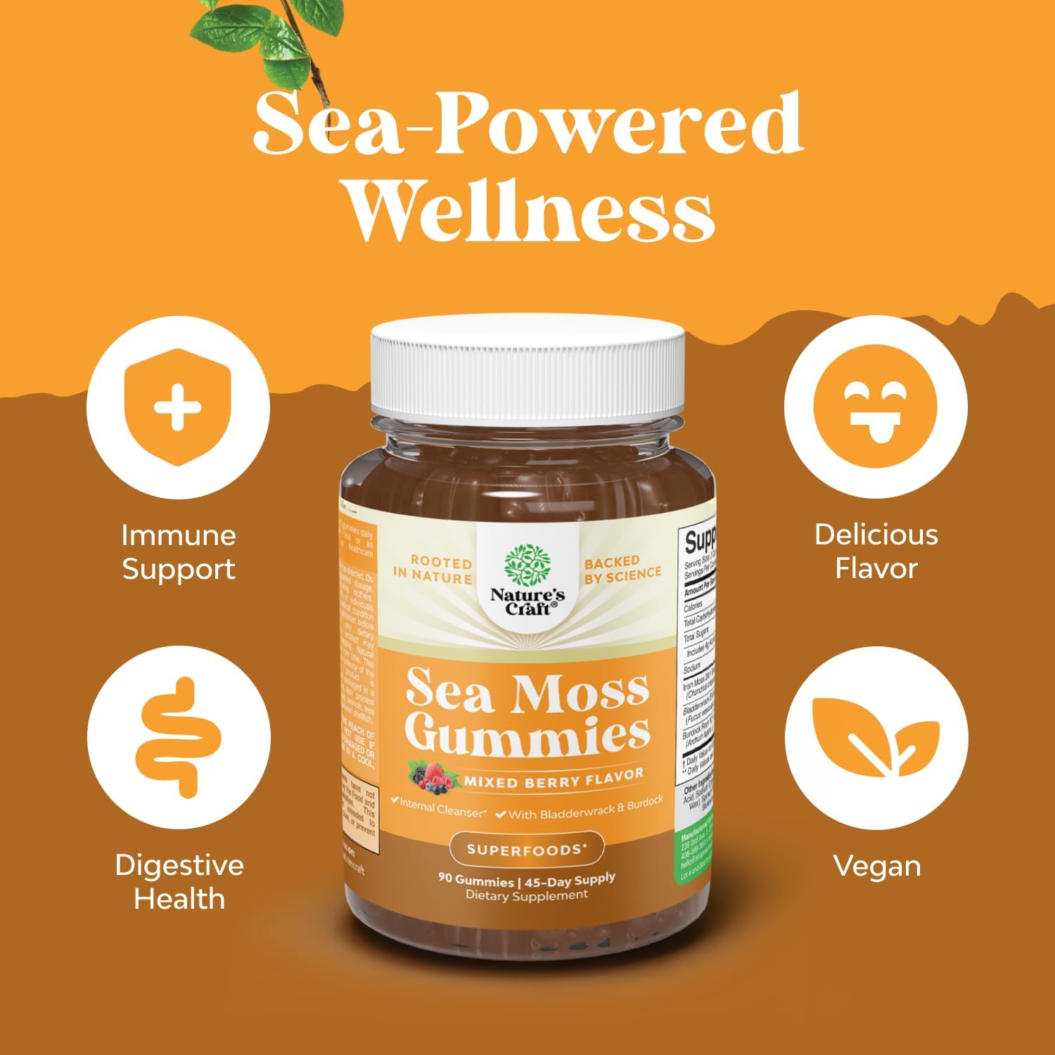 Natures Craft Irish Sea Moss Gummies for Women Men & Kids - Immune Support Supplement with Irish Sea Moss, Bladderwrack & Burdock Root - Detox Gummies for Body Cleanse - 90 Count - görsel 3