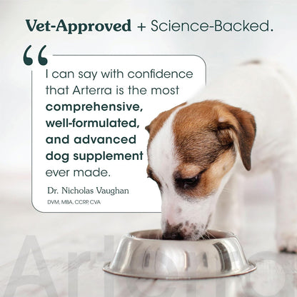 Senior Dog Powder Supplement & Food Topper – 63 Ingredient Multivitamin with Glucosamine, Probiotics, Fish Oil (60 Scoops)