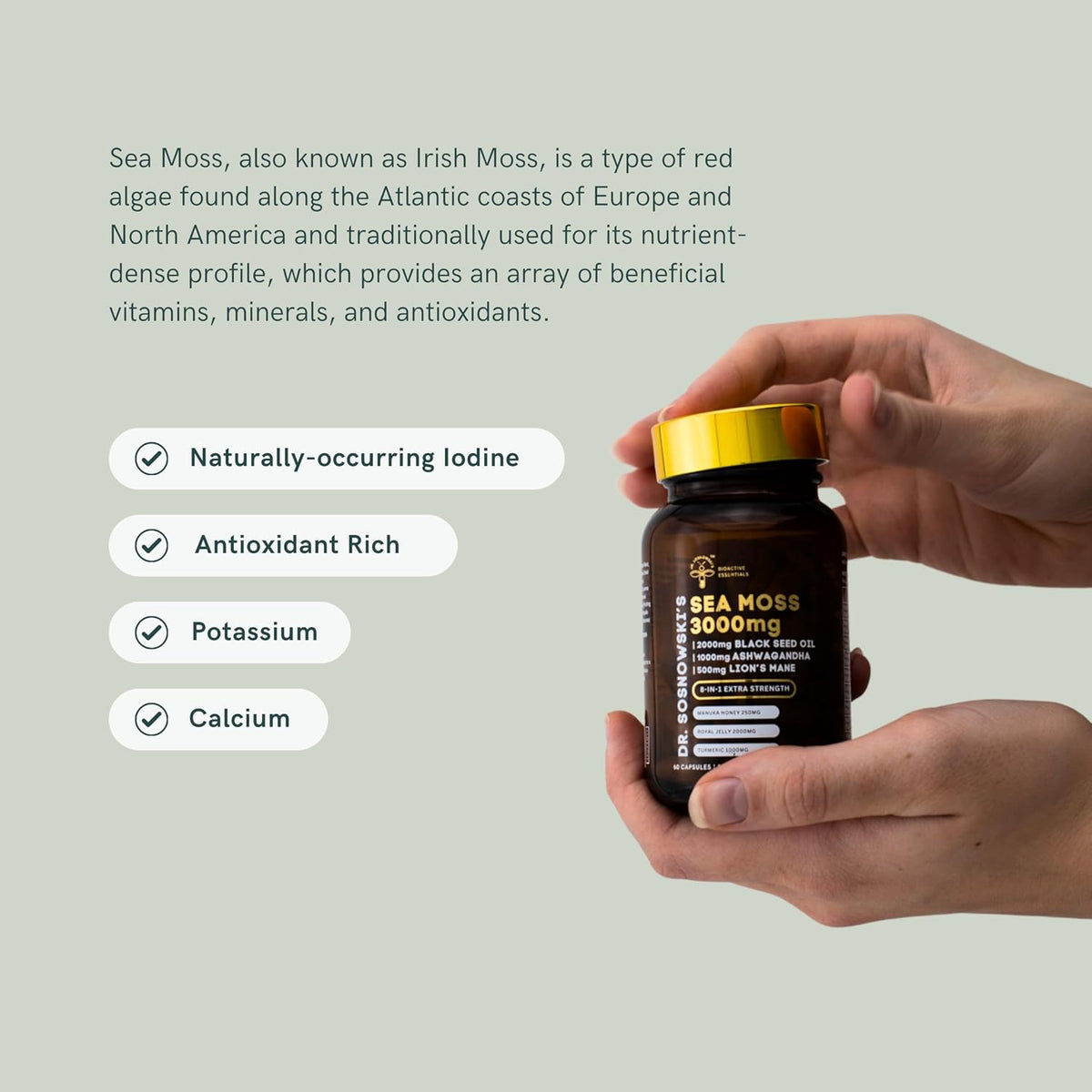 Dr Sosnowski's BioActive Sea Moss | 8-in-1 Formula Enriched with Black Seed, Ashwagandha, Turmeric, Manuka Honey, Lion's Mane, Royal Jelly, Bee Propolis Extract | 60 Capsules - görsel 4