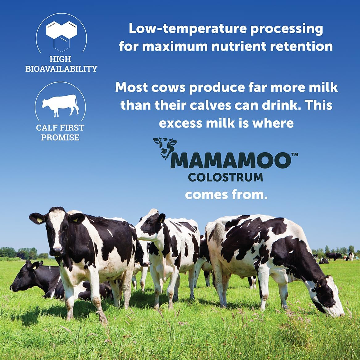 MamaMoo Colostrum Powder - Grass Fed, Non-GMO Verified, >50% IgG (120 Capsules) - görsel 5