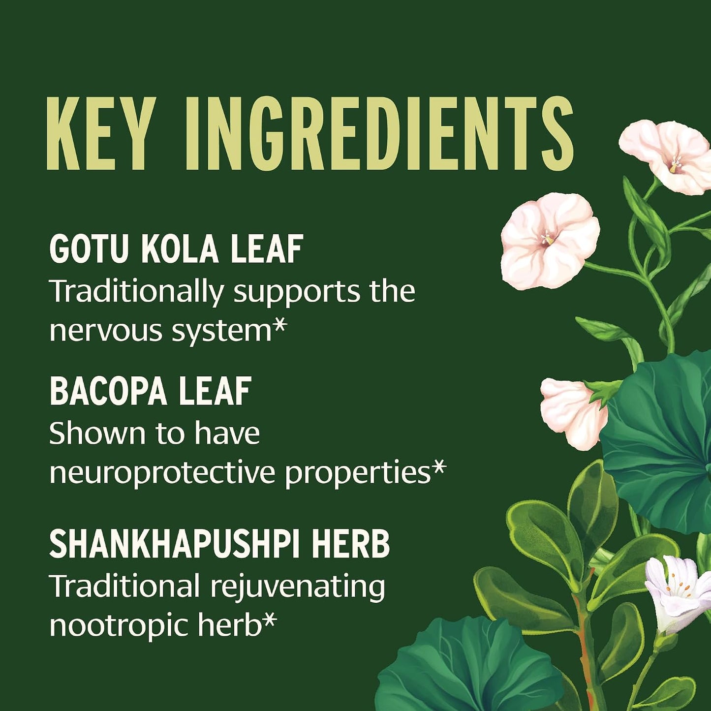 Banyan Botanicals Focus Liquid Extract – Organic Gotu Kola & Brahmi – 30 ml - görsel 3