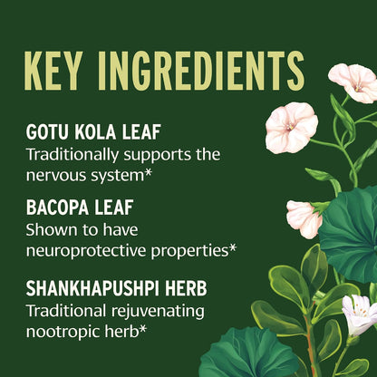 Banyan Botanicals Focus Liquid Extract – Organic Gotu Kola & Brahmi – 30 ml
